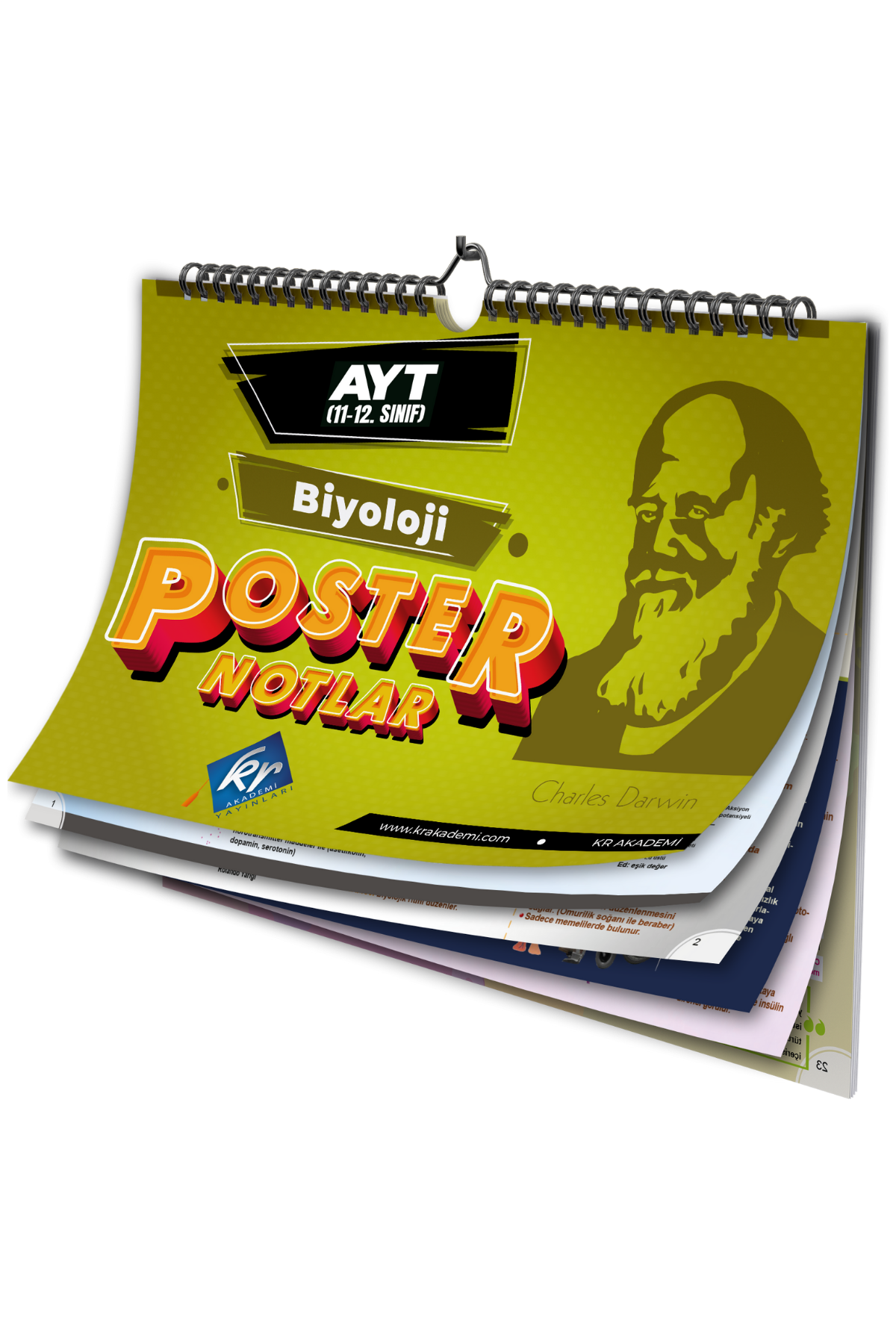 AYT Biyoloji Poster Notlar